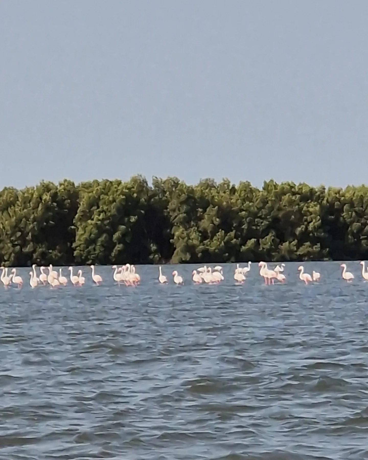 Balade dans la Fleuve Casamance (1)